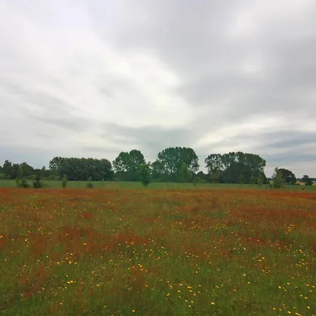 Behagliche Im Idyllischen Koerchow *